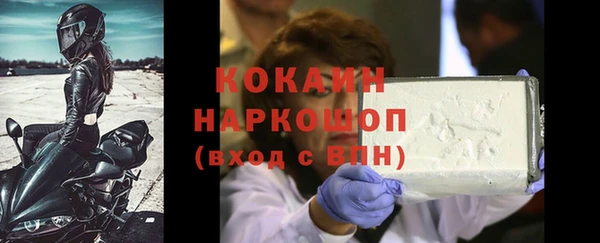 гидра Белокуриха