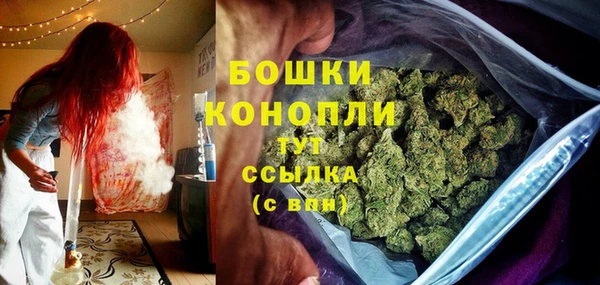 дживик Беломорск