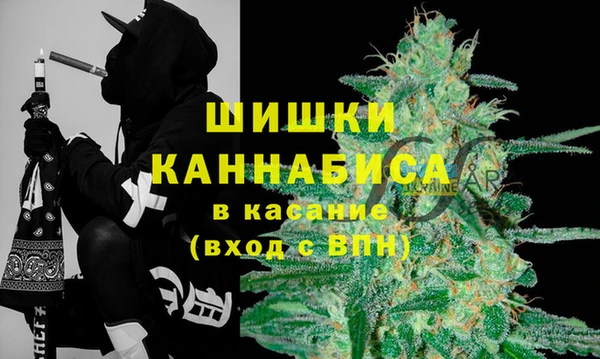 гидра Белокуриха