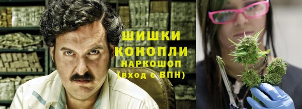 гидра Белокуриха