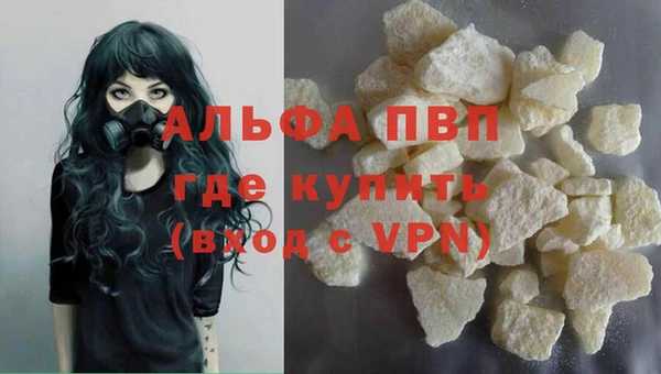 гидра Белокуриха
