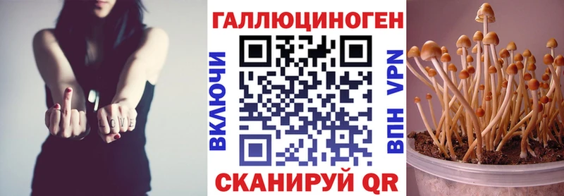 Псилоцибиновые грибы мухоморы  как найти   Коряжма 