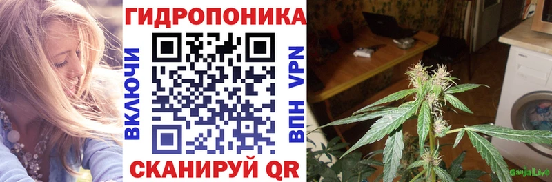 Канабис MAZAR  Коряжма 
